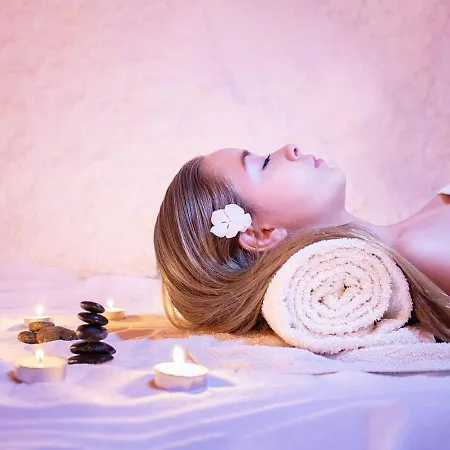 Mis Br 2 公寓 索科矿泉村