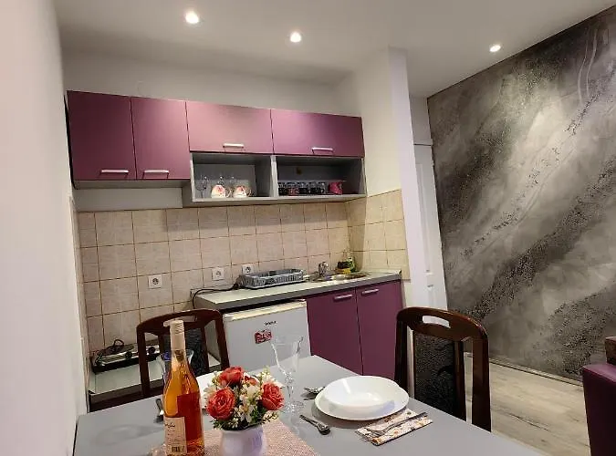 Mis Br 2 * 索科矿泉村