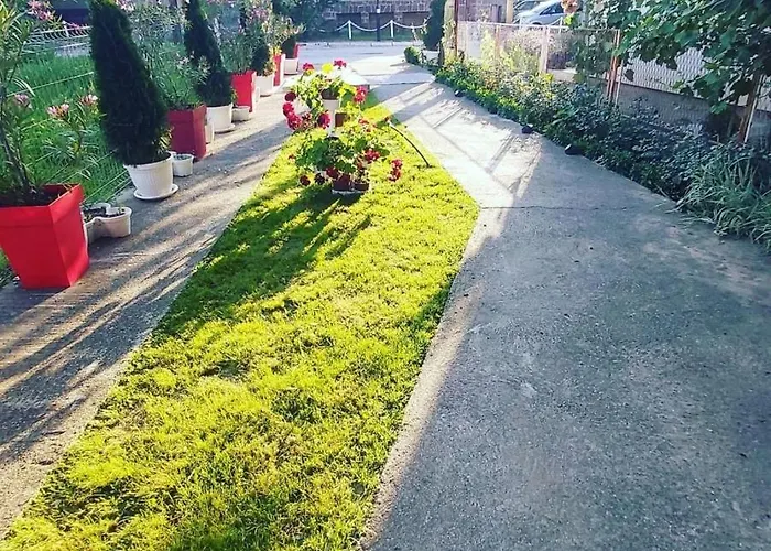 公寓 Mis Br 2 索科矿泉村