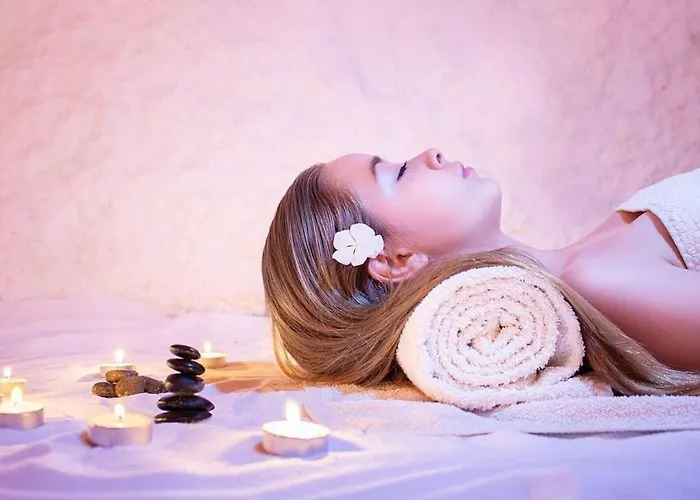 Mis Br 2 公寓 索科矿泉村